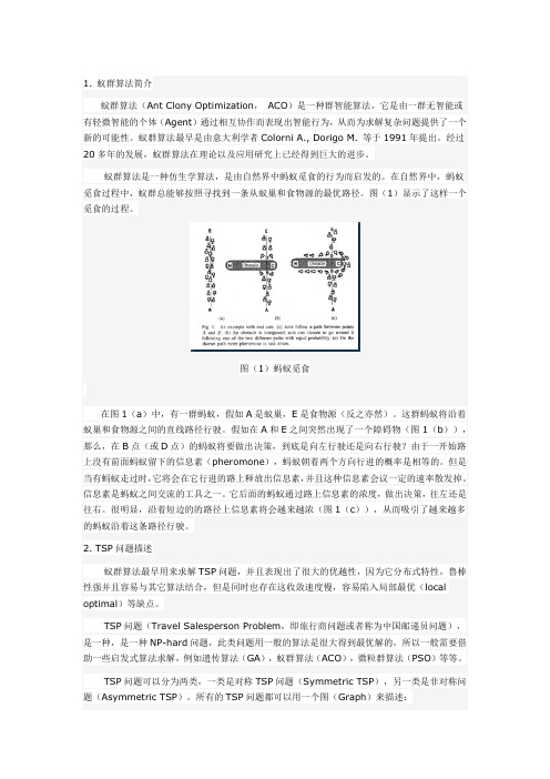 蚁群算法简介