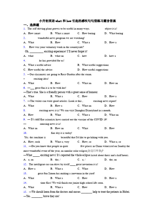 小升初英语what和how引起的感叹句句型练习题含答案