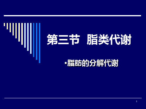 脂类代谢ppt课件