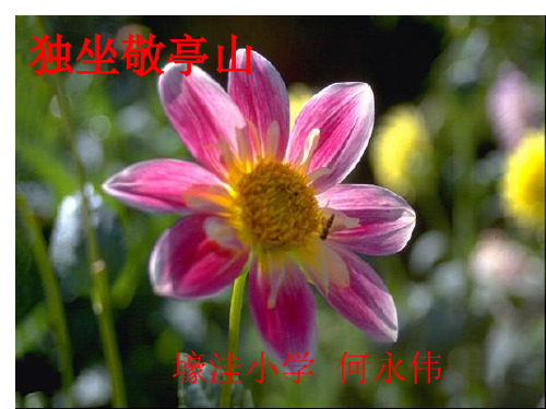 人教版四年级语文下册《独坐敬亭山》 实用教学课件PPT
