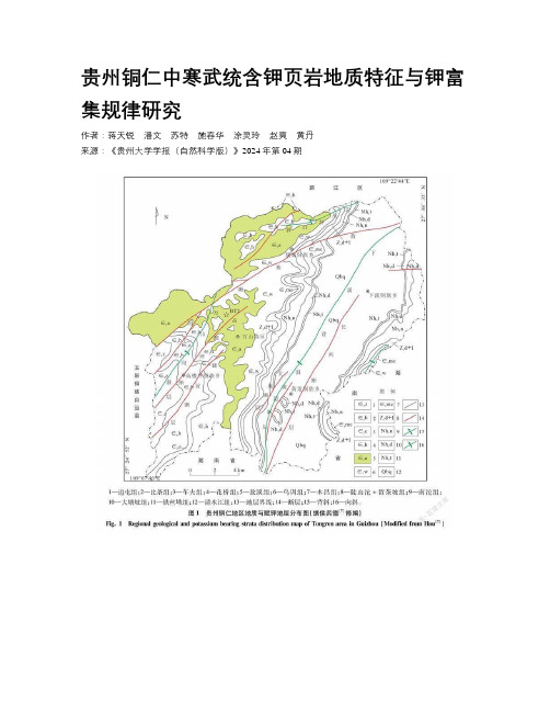 贵州铜仁中寒武统含钾页岩地质特征与钾富集规律研究