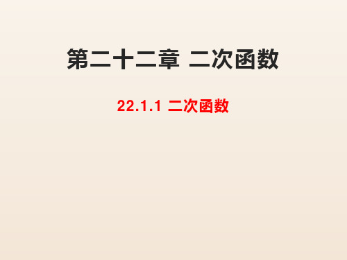 人教版九年级数学上册 第二十二章 二次函数 22.1.1 二次函数 课件(共25张PPT)