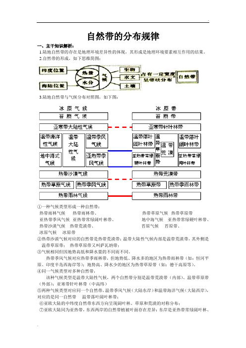 自然带的分布规律