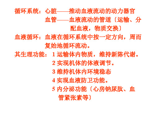 人体解剖生理学课件心血管系统