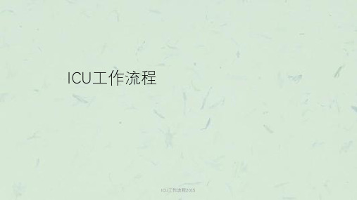 ICU工作流程2015课件