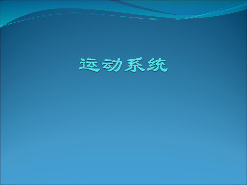 运动系统总论