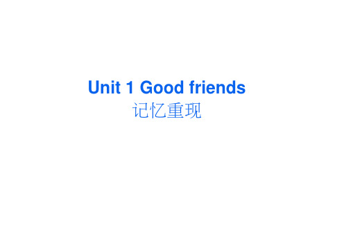 精品高考英语一轮复习课件①:Unit1Goodfriends