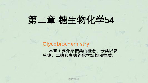 糖类生物化学课件