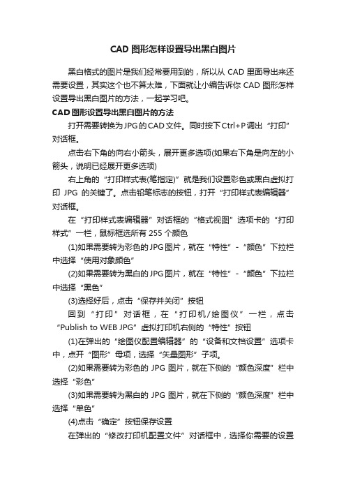 CAD图形怎样设置导出黑白图片