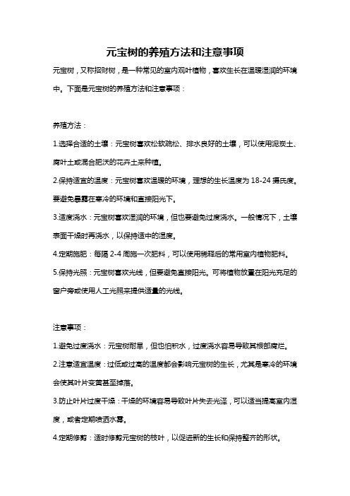 元宝树的养殖方法和注意事项