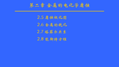 第二章 金属的电化学腐蚀第二部分