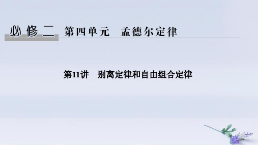 (浙江选考)2020版高考生物一轮复习第11讲分离定律和自由组合定律课件