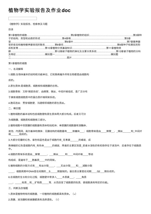 植物学实验报告及作业doc