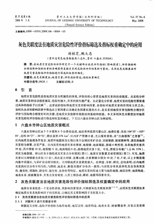 灰色关联度法在地质灾害危险性评价指标筛选及指标权重确定中的应用