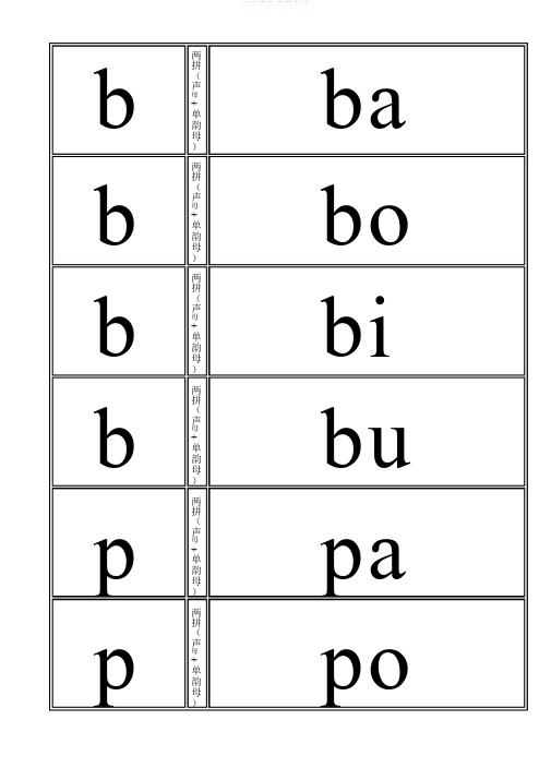 汉语拼音音节卡片
