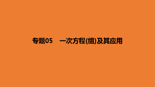 专题05 一次方程(组)及其应用-2020年中考数学全面复习系列讲座(通用版)