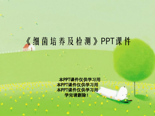 《细菌培养及检测》PPT课件