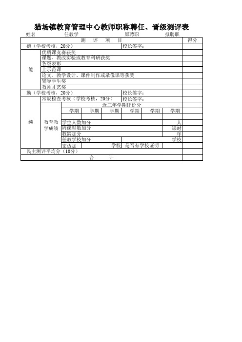 教师职称聘任、晋级测评表