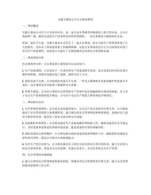 宝源丰禽业公司火灾事故教训