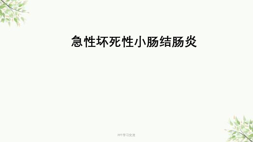 急性坏死性小肠结肠炎ppt课件