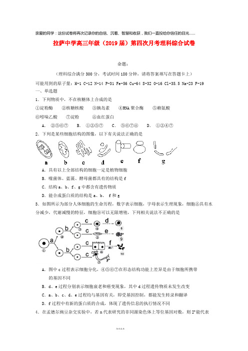 西藏拉萨中学2019届高三理综第四次月考试题