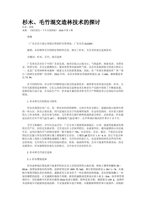 杉木、毛竹混交造林技术的探讨