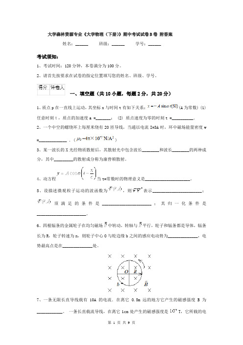 大学森林资源专业《大学物理（下册）》期中考试试卷B卷 附答案