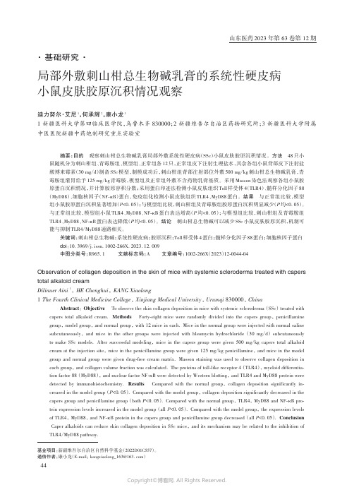 局部外敷刺山柑总生物碱乳膏的系统性硬皮病小鼠皮肤胶原沉积情况观察