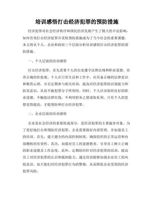 培训感悟打击经济犯罪的预防措施