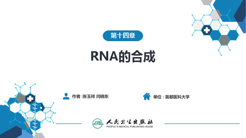 生物化学及分子生物学(人卫第九版)-14-RNA的合成培训讲学