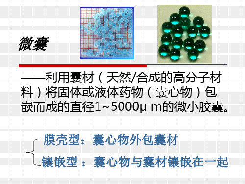 《微囊的制备》PPT课件