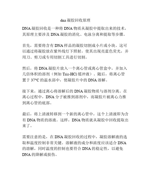 dna凝胶回收原理