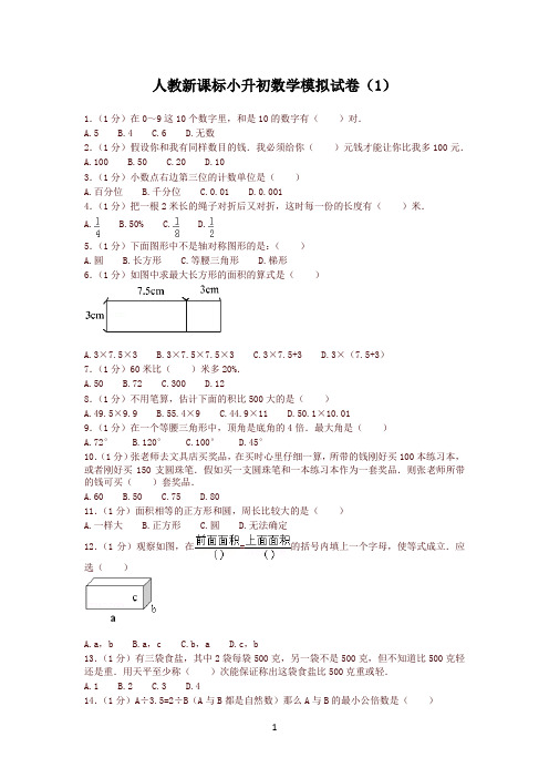 人教新课标小升初数学模拟测试卷(10套含答案)