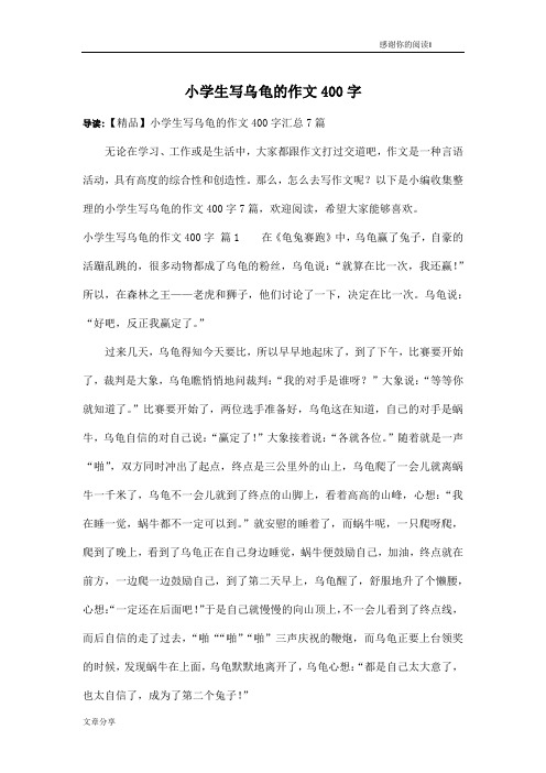 小学生写乌龟的作文400字_14