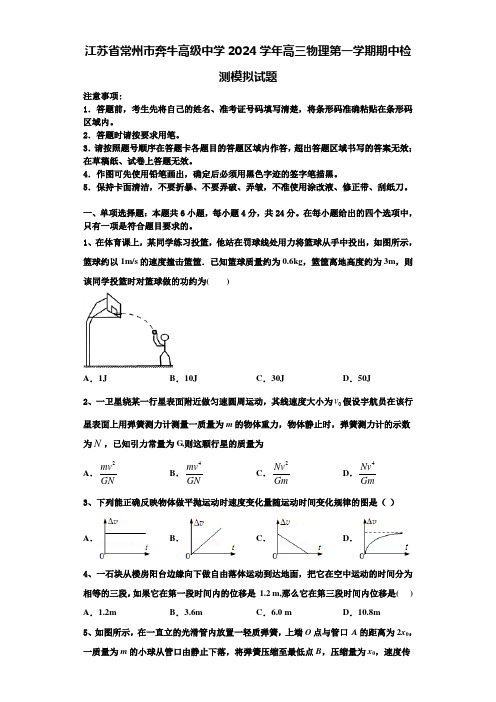 江苏省常州市奔牛高级中学2024学年高三物理第一学期期中检测模拟试题含解析