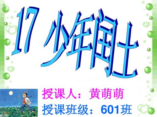 17 《少年闰土》课件