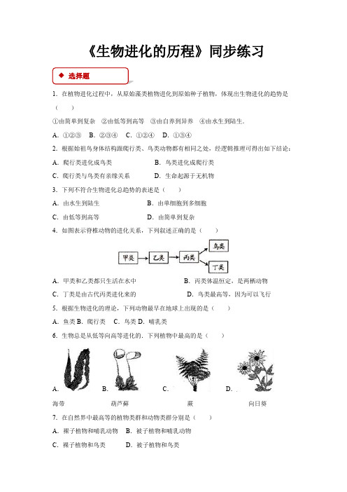 人教版八年级生物下册同步练习 生物进化的历程 