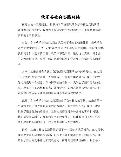 欢乐谷社会实践总结