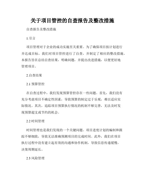 关于项目管控的自查报告及整改措施