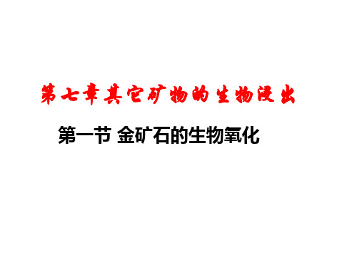 生物选矿技术 第七章其它矿物的生物浸出