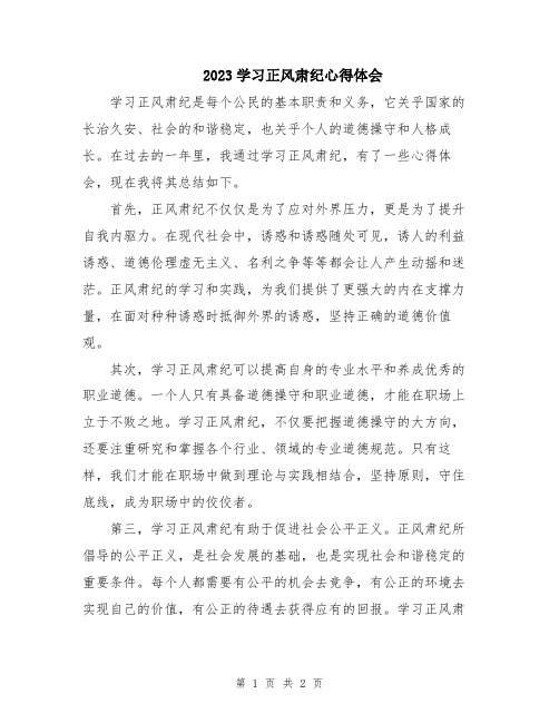 2023学习正风肃纪心得体会