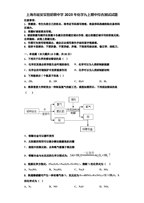 上海市延安实验初级中学2023年化学九上期中综合测试试题含解析