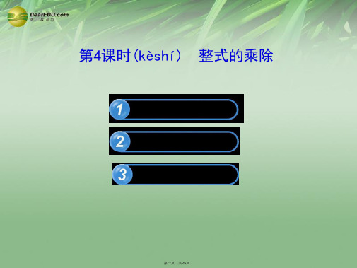 中考数学 第4课时 整式的乘除课件 北师大版