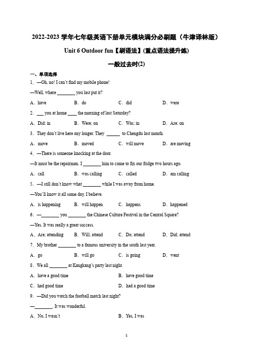 Unit 6 一般过去时(2)重点语法提升练-2022-2023学年七年级英语下册