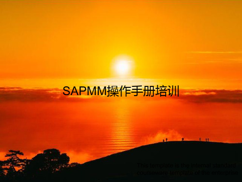 SAPMM操作手册培训