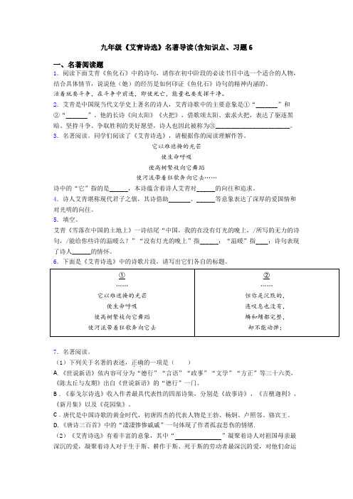 九年级《艾青诗选》名著导读(含知识点、习题6