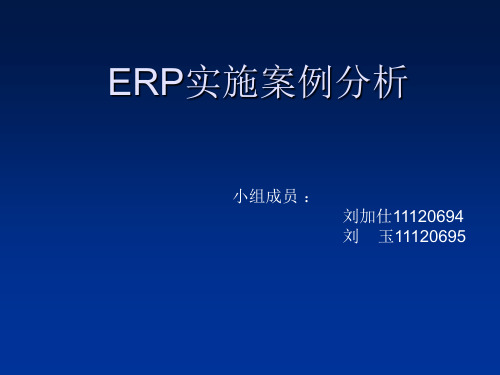 ERP应用实施案例分析