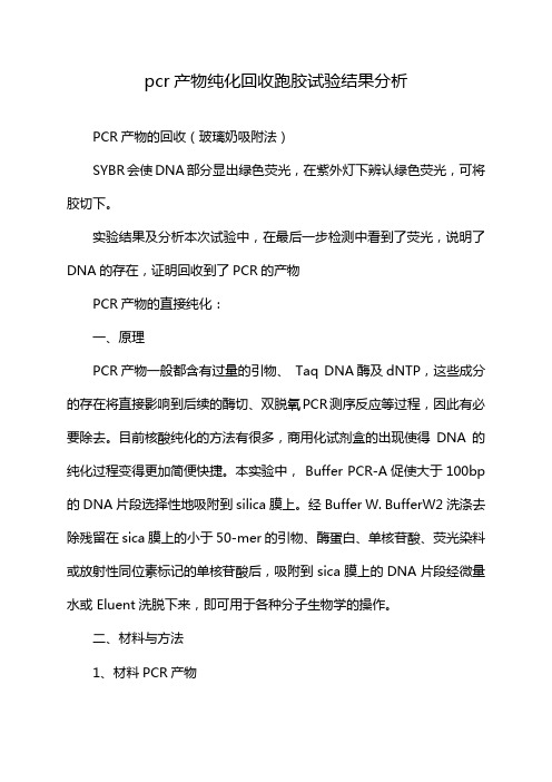 pcr产物纯化回收跑胶试验结果分析