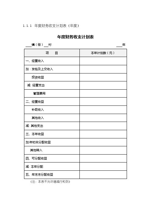 村财务信息报表