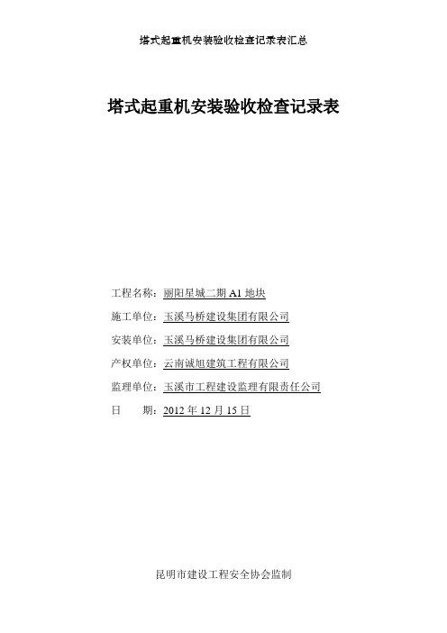 塔式起重机安装验收检查记录表汇总
